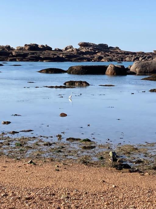 La Bernique Blanche De Perros Vue Mer 4 Personnes Esterno foto